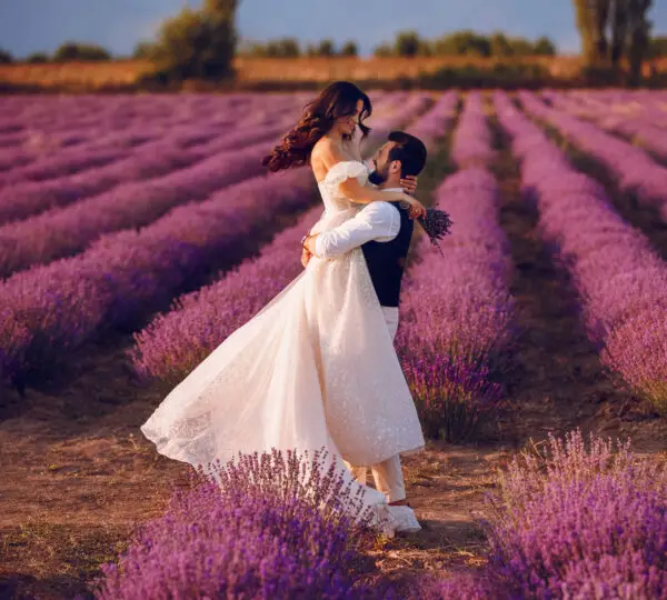 Lavender Escape
